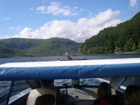 Boat Hire on Loch Goil Boat Hire on Loch Goil