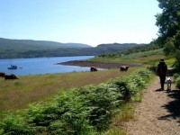 Walking Around Loch Goil Walking Around Loch Goil