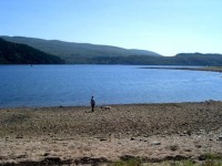 Beach on Loch Goil Beach on Loch Goil