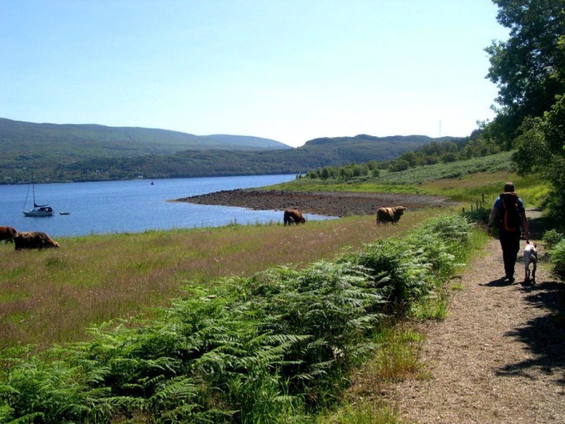 Dogwalk Loch Goil